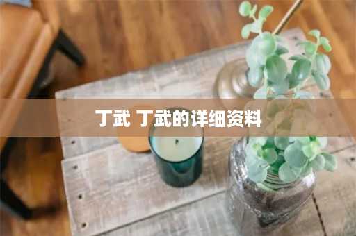 丁武 丁武的详细资料