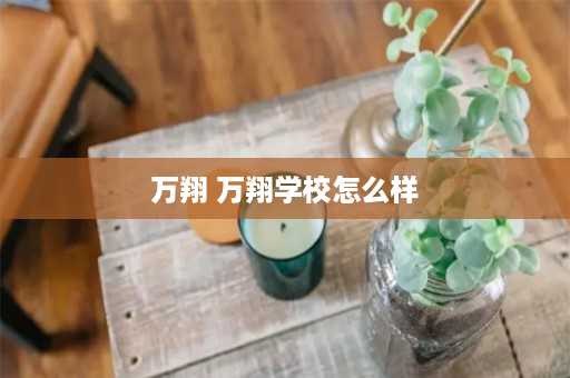 万翔 万翔学校怎么样