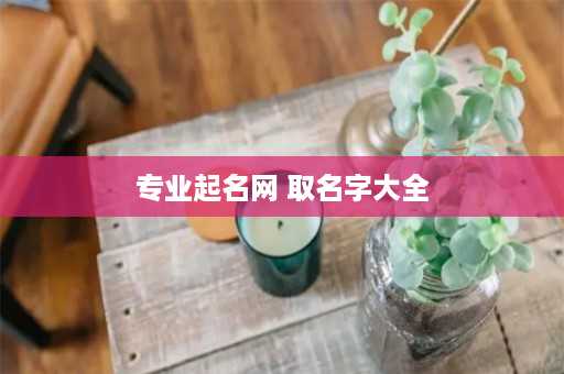 专业起名网 取名字大全