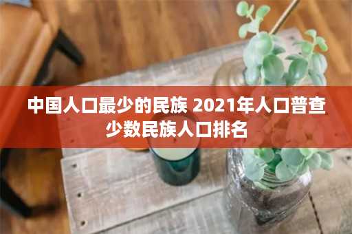 中国人口最少的民族 2021年人口普查少数民族人口排名