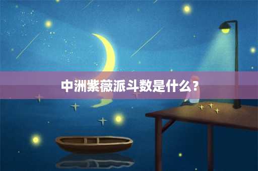 中洲紫薇派斗数是什么？