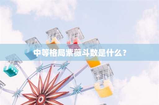 中等格局紫薇斗数是什么？