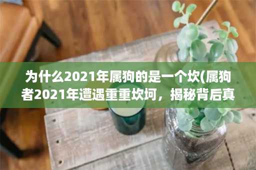 为什么2021年属狗的是一个坎(属狗者2021年遭遇重重坎坷，揭秘背后真相！)