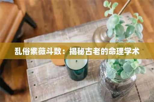 乱俗紫薇斗数：揭秘古老的命理学术