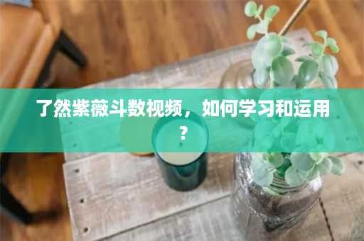 了然紫薇斗数视频，如何学习和运用？