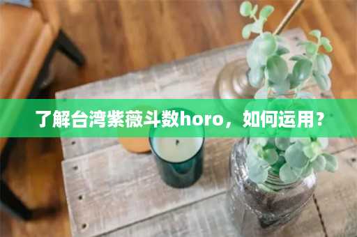 了解台湾紫薇斗数horo，如何运用？