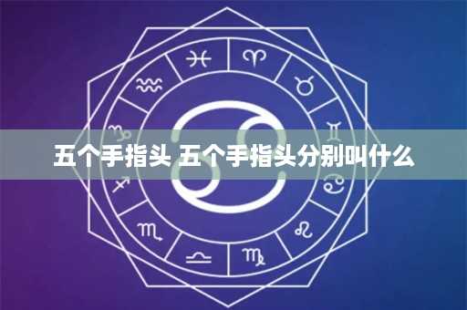 五个手指头 五个手指头分别叫什么