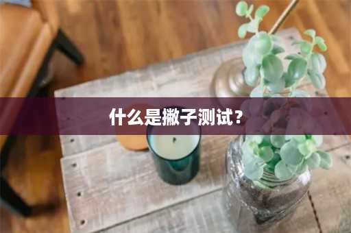 什么是撇子测试？