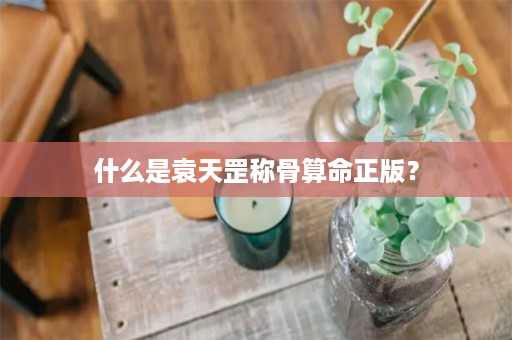 什么是袁天罡称骨算命正版？