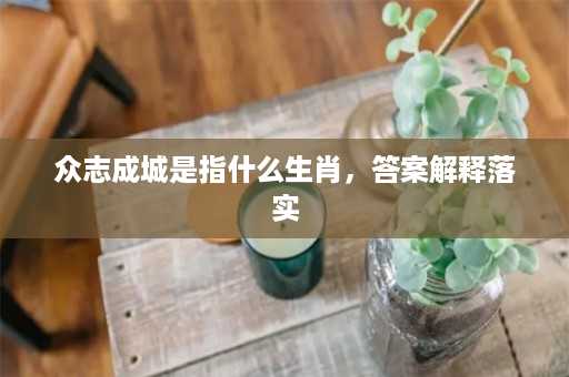 众志成城是指什么生肖，答案解释落实