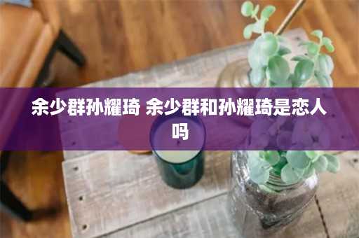 余少群孙耀琦 余少群和孙耀琦是恋人吗