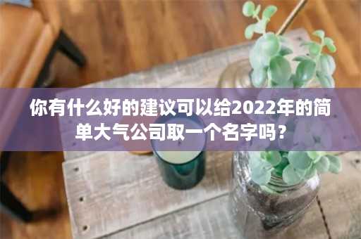 你有什么好的建议可以给2022年的简单大气公司取一个名字吗？