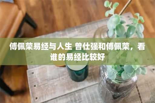 傅佩荣易经与人生 曾仕强和傅佩荣，看谁的易经比较好