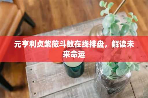 元亨利贞紫薇斗数在线排盘，解读未来命运