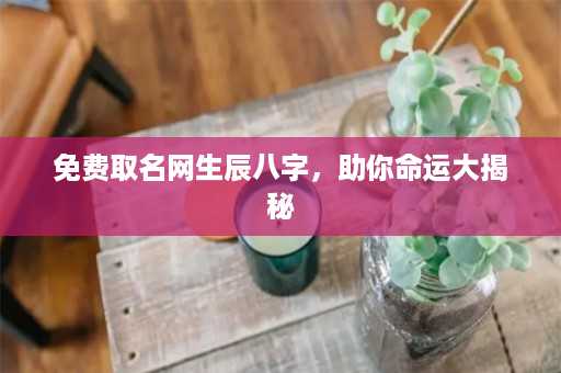 免费取名网生辰八字，助你命运大揭秘