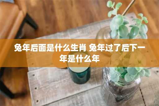 兔年后面是什么生肖 兔年过了后下一年是什么年