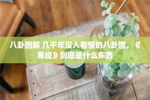 八卦图解 几千年没人看懂的八卦图，《易经》到底是什么东西