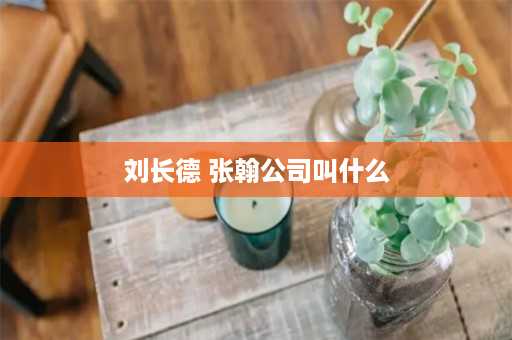 刘长德 张翰公司叫什么