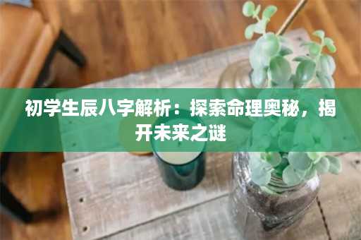 初学生辰八字解析：探索命理奥秘，揭开未来之谜