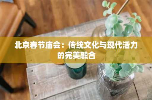 北京春节庙会：传统文化与现代活力的完美融合