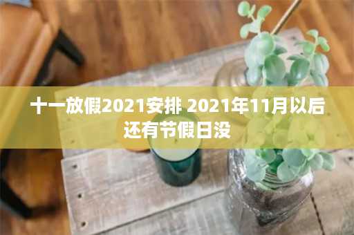 十一放假2021安排 2021年11月以后还有节假日没