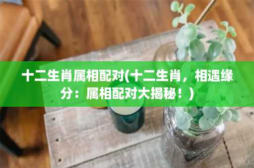 十二生肖属相配对(十二生肖，相遇缘分：属相配对大揭秘！)