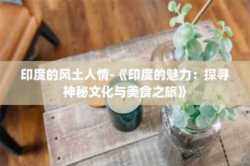 印度的风土人情-《印度的魅力：探寻神秘文化与美食之旅》