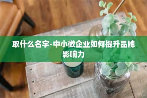 取什么名字-中小微企业如何提升品牌影响力