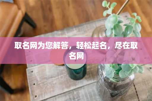 取名网为您解答，轻松起名，尽在取名网