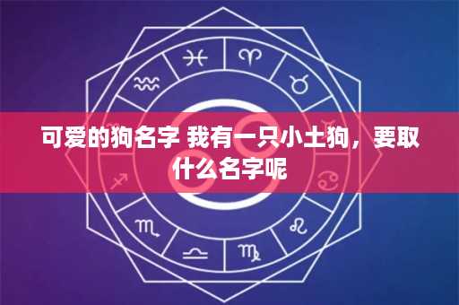 可爱的狗名字 我有一只小土狗，要取什么名字呢