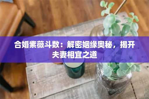 合婚紫薇斗数：解密姻缘奥秘，揭开夫妻相宜之道