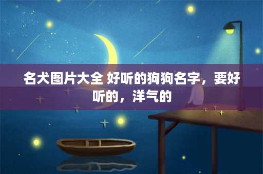 名犬图片大全 好听的狗狗名字，要好听的，洋气的