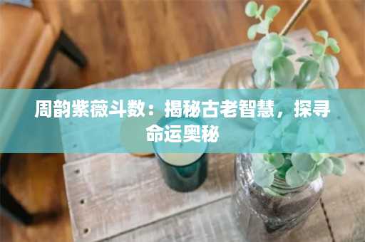 周韵紫薇斗数：揭秘古老智慧，探寻命运奥秘