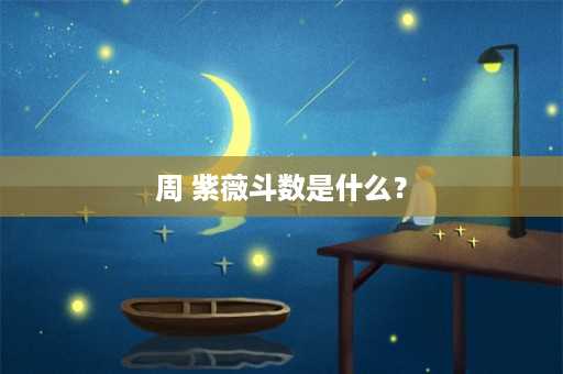 周 紫薇斗数是什么？