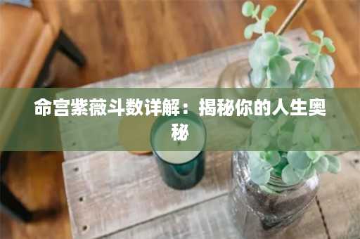 命宫紫薇斗数详解：揭秘你的人生奥秘