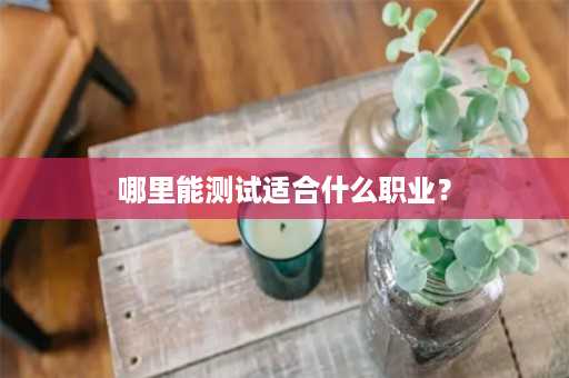 哪里能测试适合什么职业？