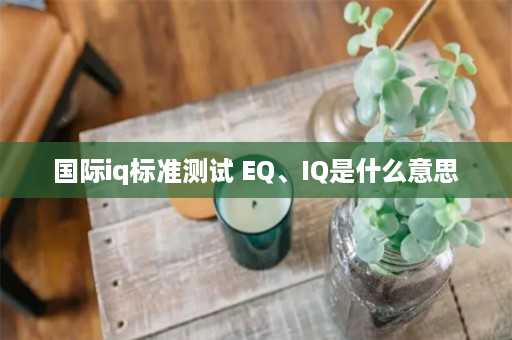 国际iq标准测试 EQ、IQ是什么意思