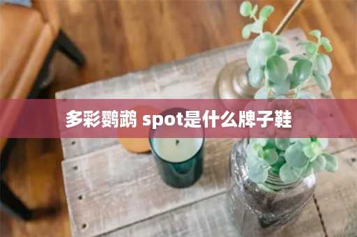 多彩鹦鹉 spot是什么牌子鞋