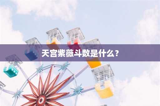 天宫紫薇斗数是什么？