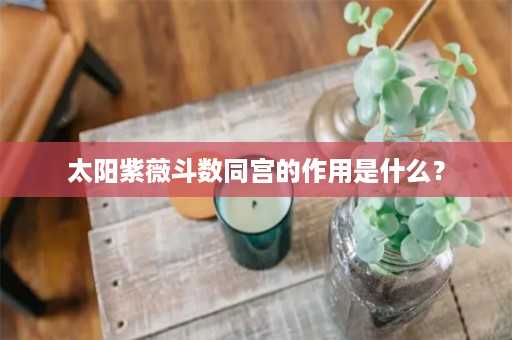 太阳紫薇斗数同宫的作用是什么？