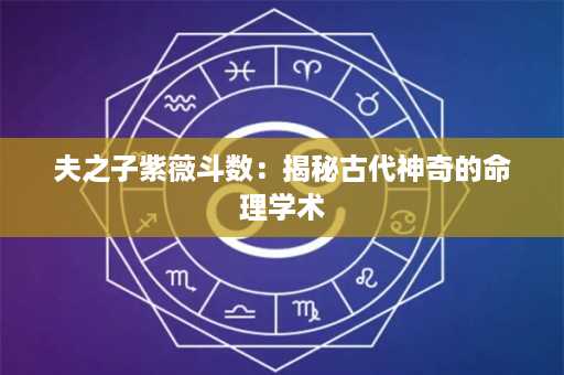 夫之子紫薇斗数：揭秘古代神奇的命理学术