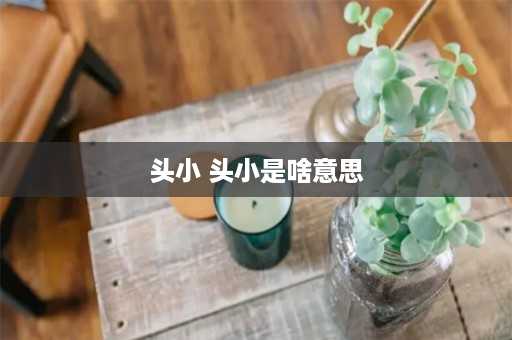 头小 头小是啥意思