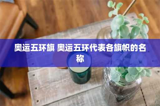 奥运五环旗 奥运五环代表各旗帜的名称