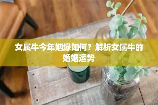 女属牛今年姻缘如何？解析女属牛的婚姻运势