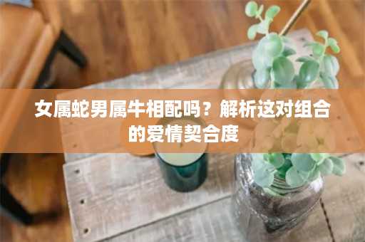 女属蛇男属牛相配吗？解析这对组合的爱情契合度