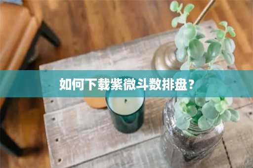 如何下载紫微斗数排盘？