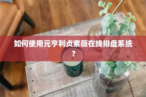 如何使用元亨利贞紫薇在线排盘系统？