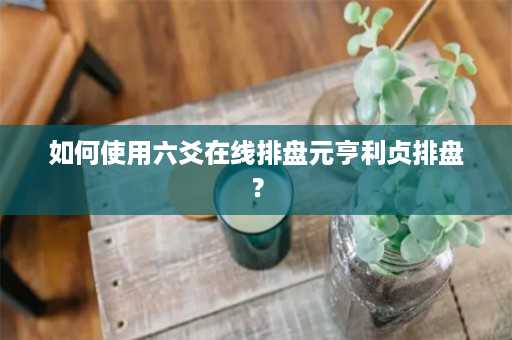 如何使用六爻在线排盘元亨利贞排盘？