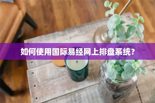 如何使用国际易经网上排盘系统？