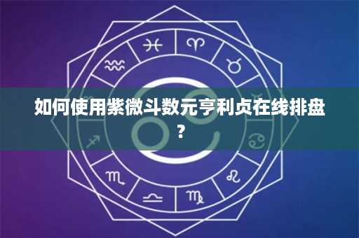 如何使用紫微斗数元亨利贞在线排盘？